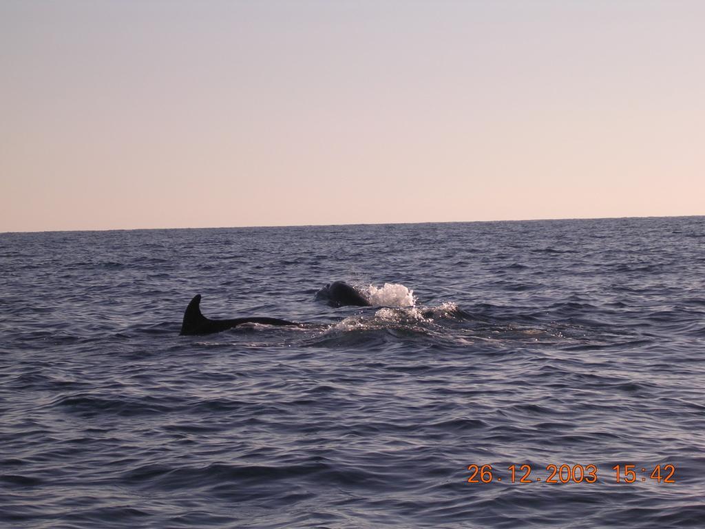 Holiday Home Santa Margherita Ligure Buitenkant foto
